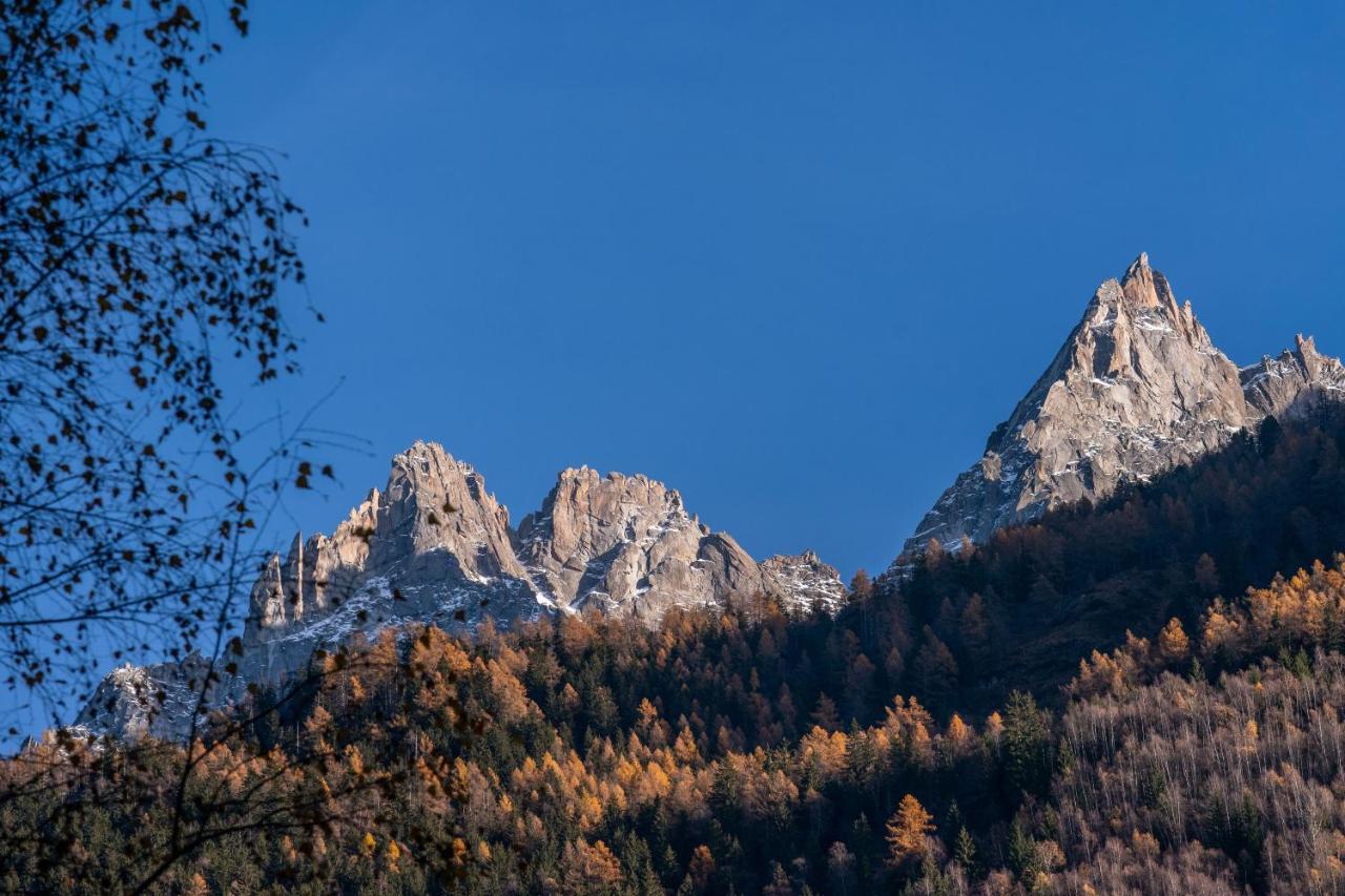 Апартаменты Chamois Blanc Terrasse - A Chamonix Haven Near Aiguille Du Midi Экстерьер фото